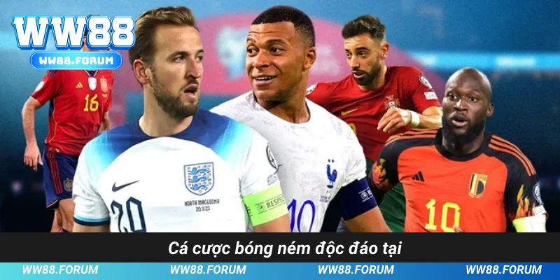 cá cược bóng ném độc đáo tại ww88