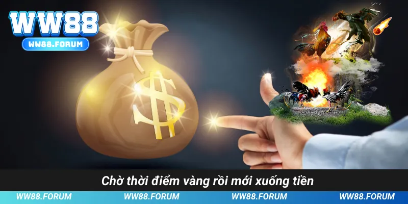 Chờ thời điểm vàng rồi mới xuống tiền
