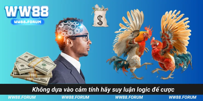 Không dựa vào cảm tính hãy suy luận logic để cược