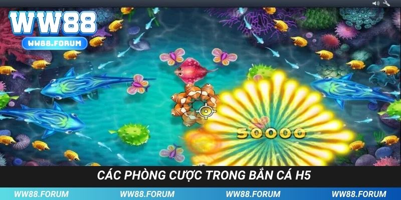 3 phòng cược không nên bỏ lỡ