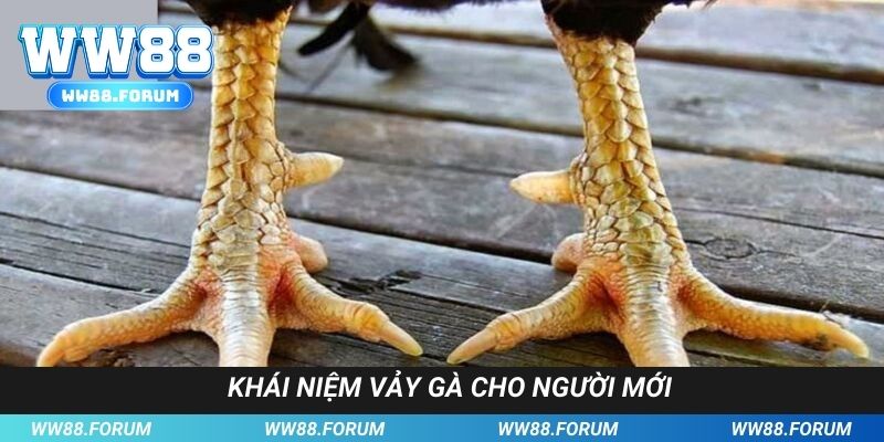 Tìm hiểu về ý niệm những chiếc giáp hùng mãnh dưới cựa