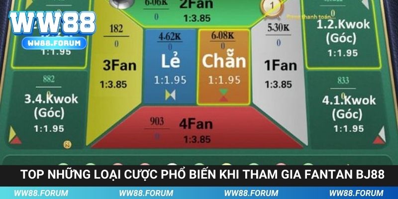Top những loại cược phổ biến khi tham gia chơi
