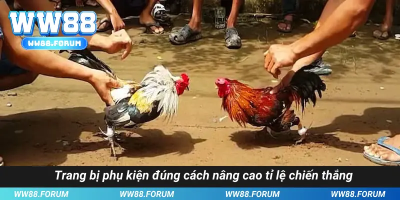 Trang bị phụ kiện đúng cách nâng cao tỉ lệ chiến thắng